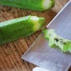 プライバシーポリシー